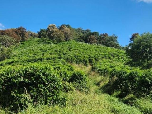 Chácara para venda em Área Rural de Santa Rita do Sapucaí, S