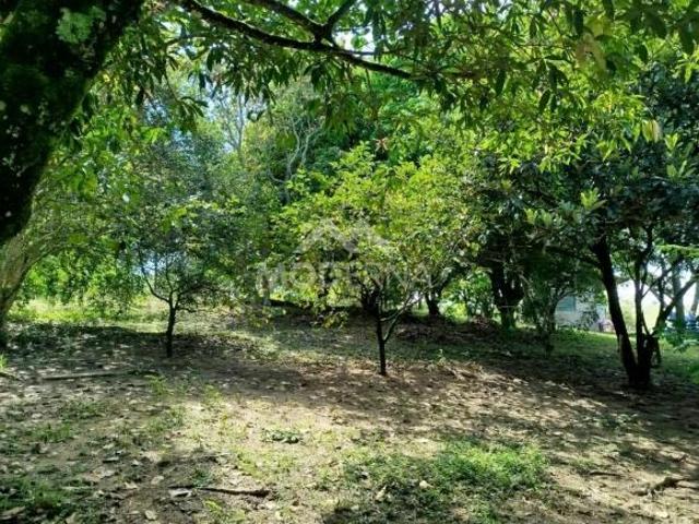 Chácara para Venda em Bofete, loteamento santa terezinha, 2 dormitórios, 1 banheiro