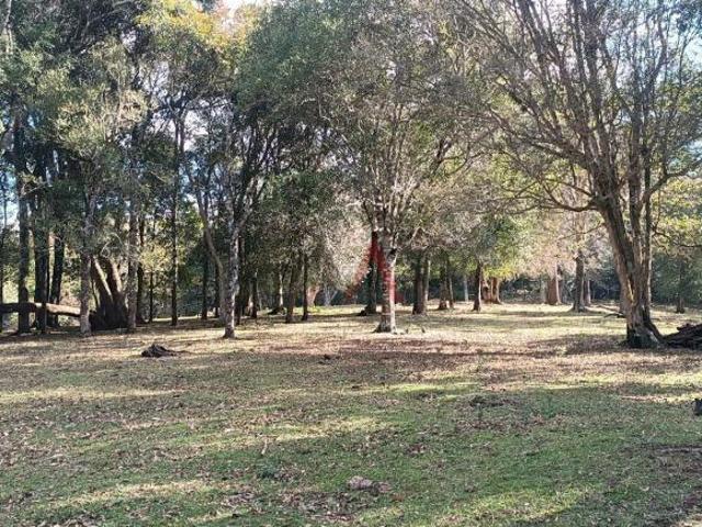 Chácara para venda em Guarapuava