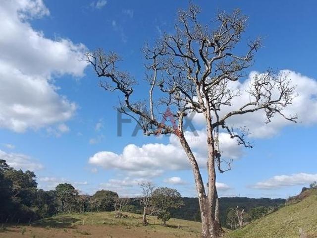 Chácara para venda em Guarapuava