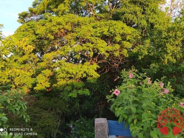 Chácara para venda em Engordadouro de 250.00m² com 3 Quartos, 1 Suite e 2 Garagens