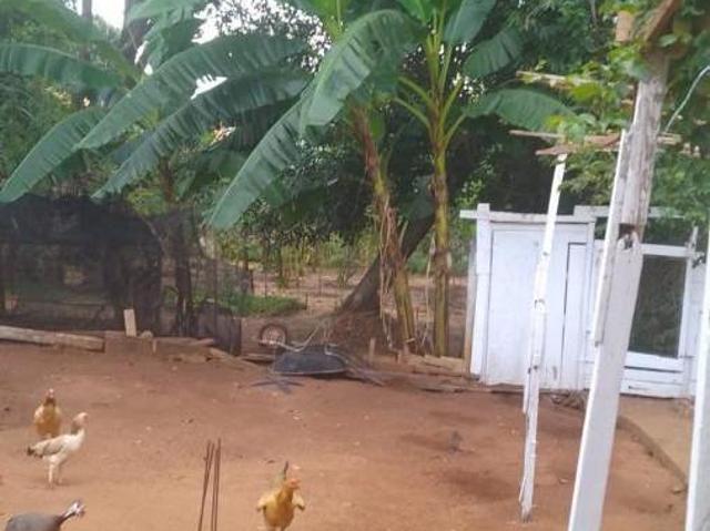 Chácara para venda em Jardim Rezende, Assis