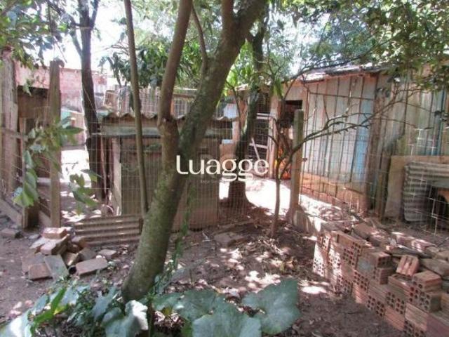 Chácara para venda em Lageado, Porto Alegre