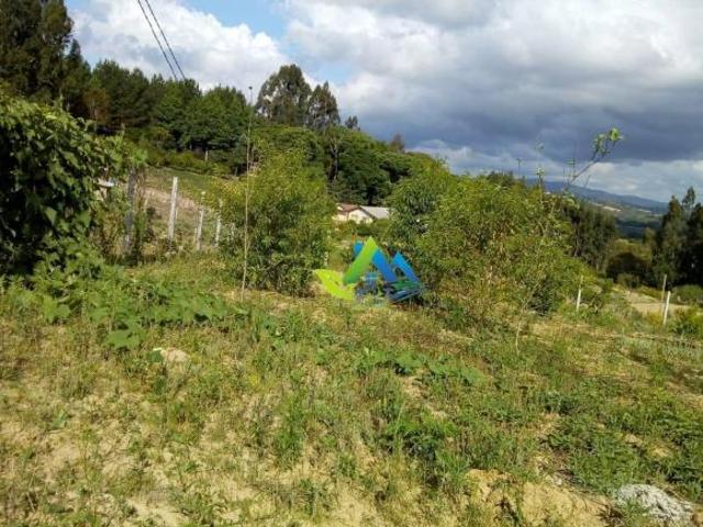 Chácara para venda em Mandirituba