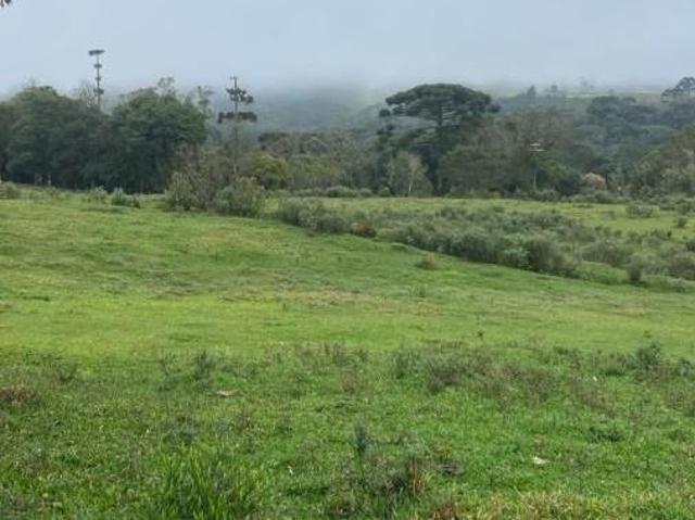 Chácara para Venda em Mandirituba, Meleiro