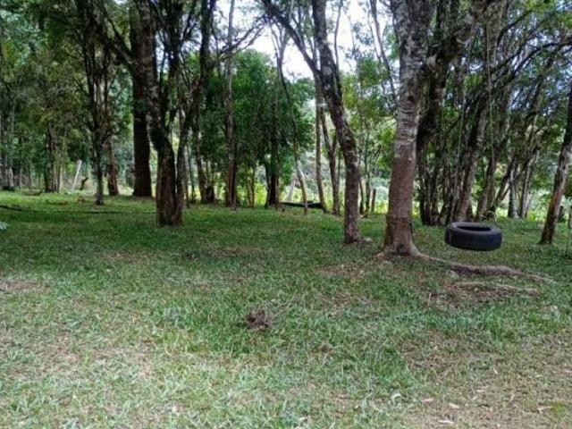 Chácara para Venda em Mandirituba, Rio da Várzea, 3 dormitórios, 2 banheiros, 10 vagas
