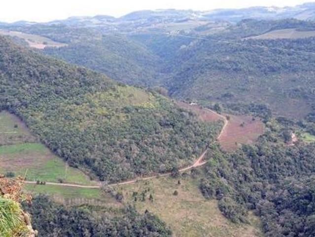Chácara para venda em Nova Bréscia