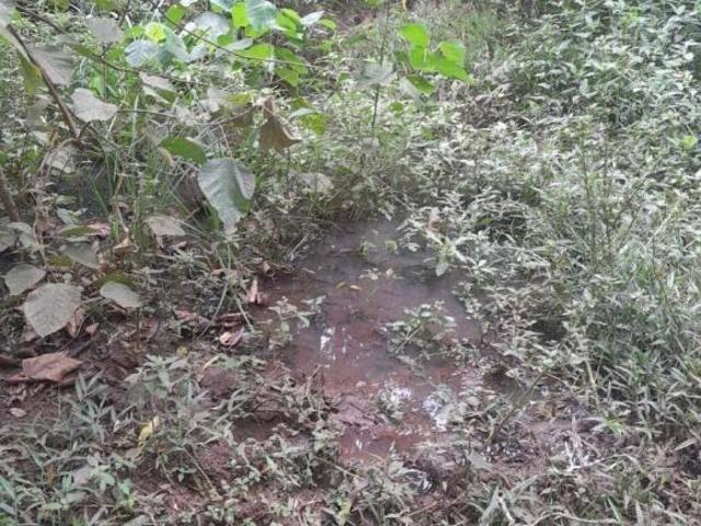 Chácara para venda em São Carlos do Ivaí