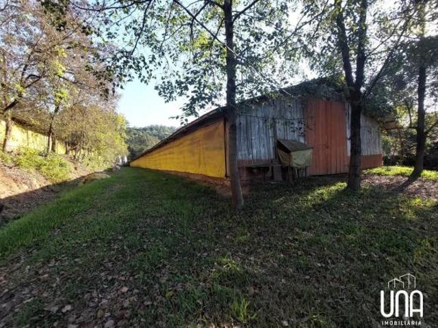 Chácara para venda em São Pedro, Bento Gonçalves