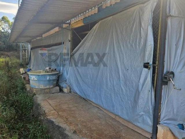 Chácara para venda em São Sebastião Do Oeste de 1100000.00m² com 4 Quartos e 1 Suite