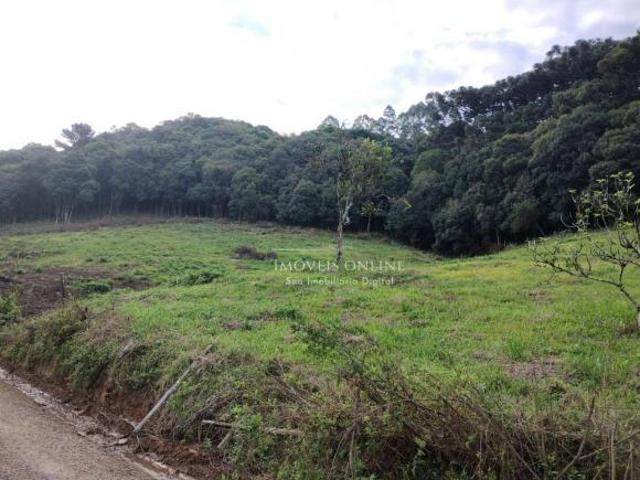 Chácara para venda em Salgado Filho, Caxias do Sul