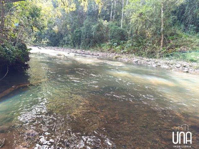 Sítio para venda em Santo Antônio de Castro, Carlos Barbosa
