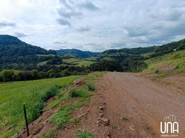 Sítio para venda em Santo Antônio de Castro, Carlos Barbosa