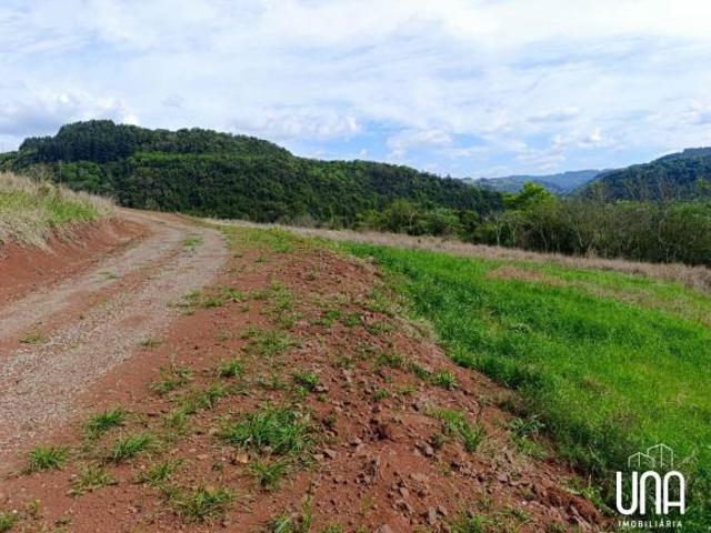 Sítio para venda em Santo Antônio de Castro, Carlos Barbosa