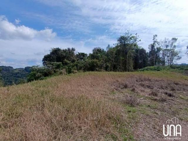 Sítio para venda em Santo Antônio de Castro, Carlos Barbosa