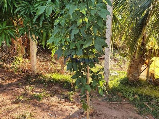 Chácara para venda em Severínia