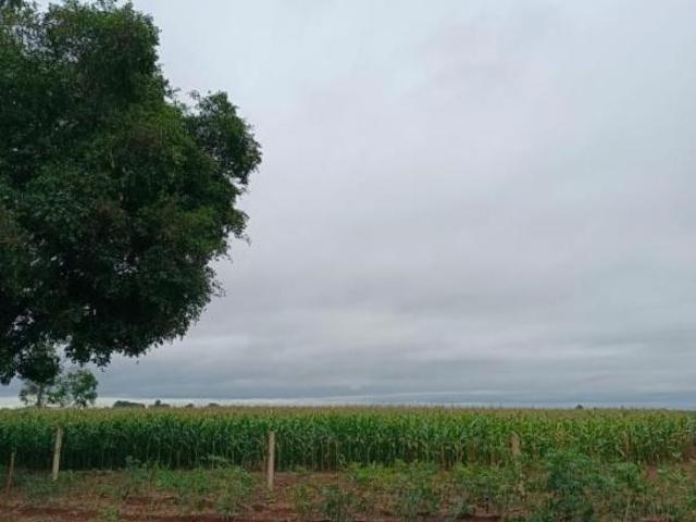 Chácara para Venda em Sidrolândia, Zona Rural de Sidrolândia, 3 dormitórios, 1 banheiro