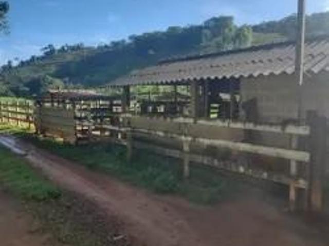 Chácara para venda em Pedro Teixeira, Minas Gerais