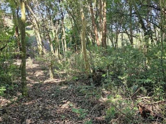 Chácara para Venda em Pedra Bela, 2 dormitórios, 1 suíte, 2 banheiros