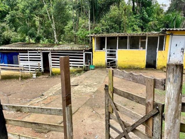 Chácara para Venda em Pedra Bela, CENTRO, 4 dormitórios, 2 banheiros, 4 vagas