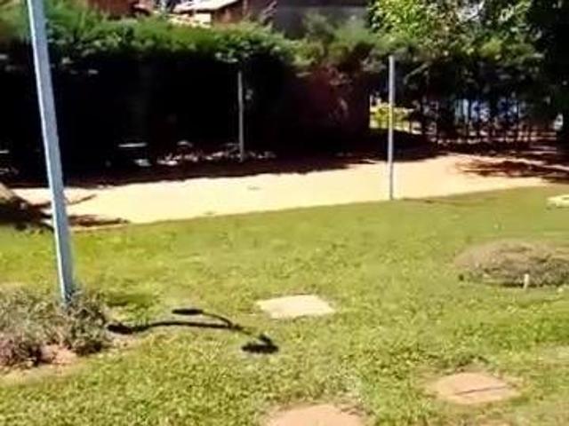 Chácara para venda em Penápolis
