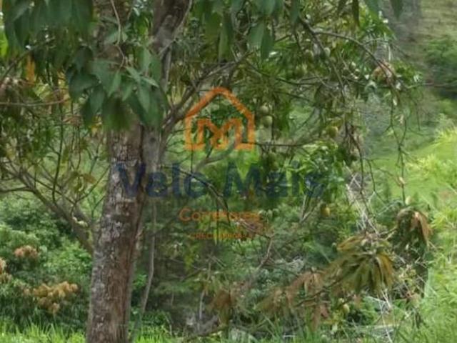 Chácara para venda em Pinheiro de 20000.00m² com 4 Quartos e 1 Suite