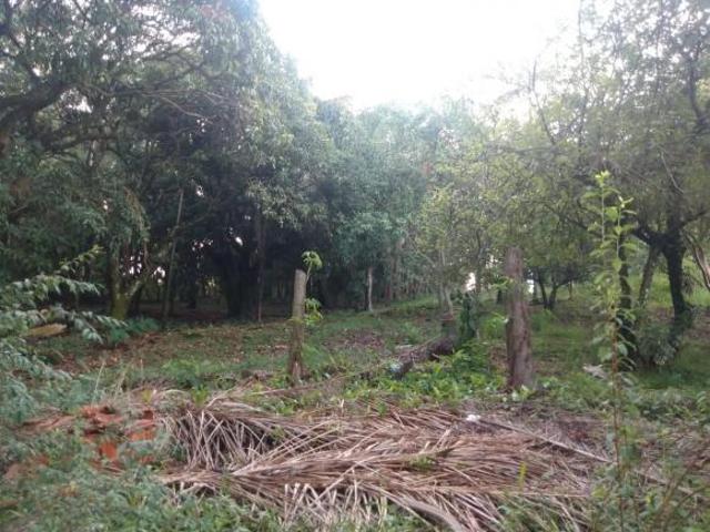 Chácara para venda em Piraju