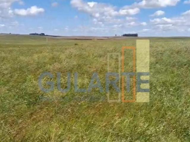 Chácara para venda em Rosário do Sul