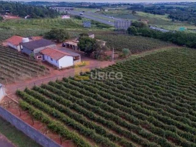 Chácara para venda em Reforma Agrária de 20000.00m² com 8 Quartos