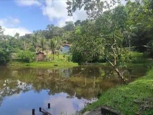 Chácara para Venda em Registro, AREA RURAL, 3 dormitórios, 1 suíte, 1 banheiro, 3 vagas