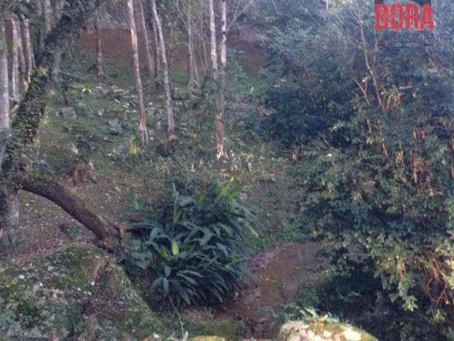 Chácara para venda em Rio Abaixo, Mairiporã