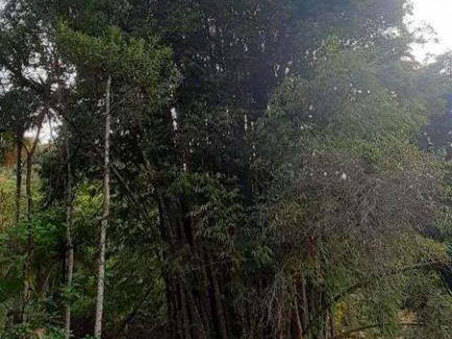 Chácara para venda em Tapiraí de 31000.00m² com 2 Quartos