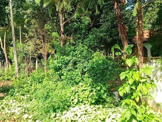 Chácara para venda em Taquara do Reino, Ibiporã