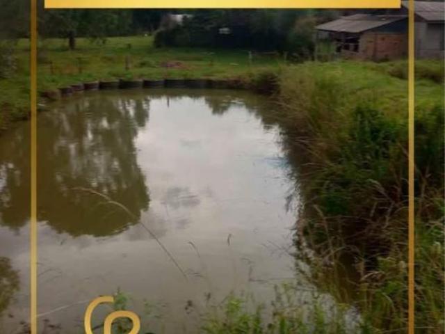 Chácara para Venda em Turvo, Turvo, 4 dormitórios, 2 banheiros, 2 vagas