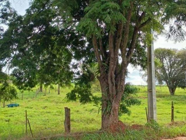Chácara para venda em Uniflor