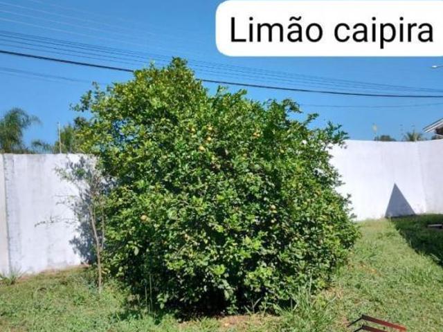 Chácara para venda em Vale do Igapó, Bauru