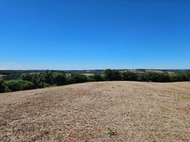 Chácara para venda em Zona Rural de 67700.00m² com 1 Quarto