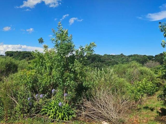 Chácara para venda em Zona Rural de 7000.00m² com 1 Quarto
