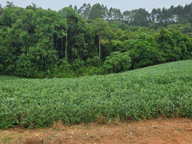 Chácara para venda em Zona Rural de 79000.00m² com 1 Quarto