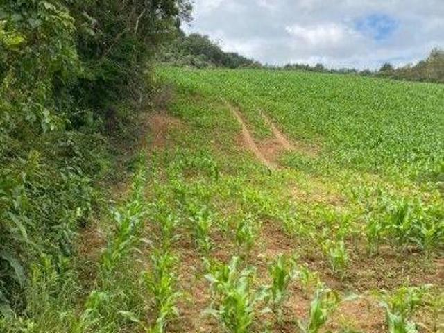 Chácara para venda em Zona Rural de 9468234.00m² com 1 Quarto e 50 Garagens