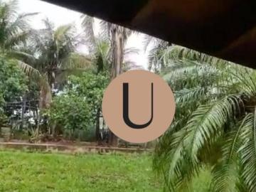 Chácara Paraíso: Seu Refúgio em Jacema, Santa Albertina SP