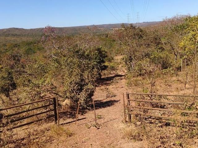 Chácara plana com 3 Hectares no Altiplano Leste com mata preservada