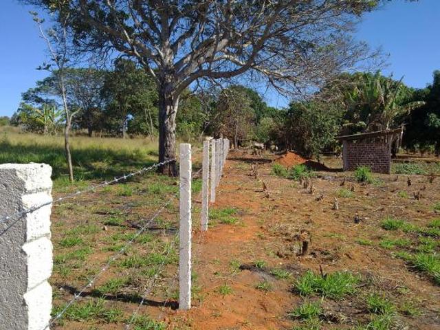 Chácara, plana, Documenta 100% na DF 140 com 20.000m2 250 metros da DF