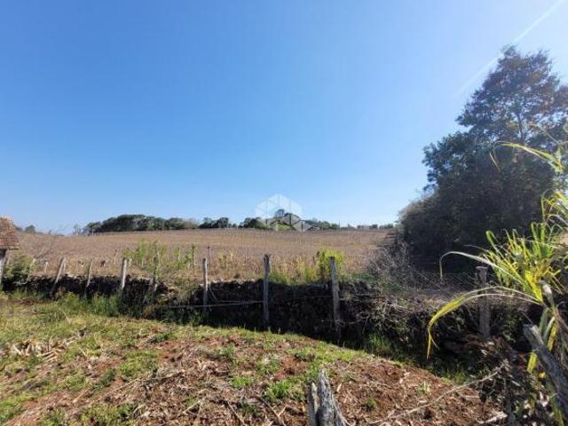 Chácara produtiva com parreirais de uva com aproximadamente 33 hectares em Fagundes Varela
