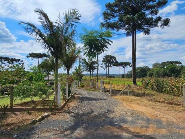 Chácara produtiva na Lapa com pomar completo, estrutura rural e 35 mil m de potencial