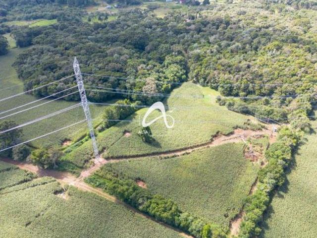 Chácara próxima à BR 277 • Piraquara