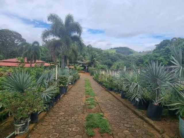 Chacara, Rural, Dona Euzébia, MG