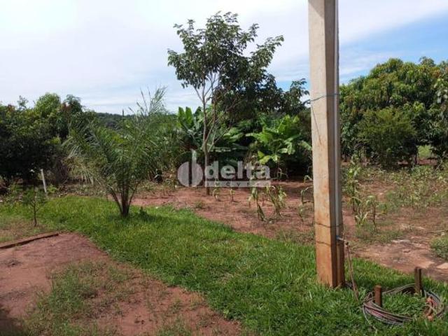 Chácara Residencial disponível para Venda no bairro Área Rural em Uberlândia MG