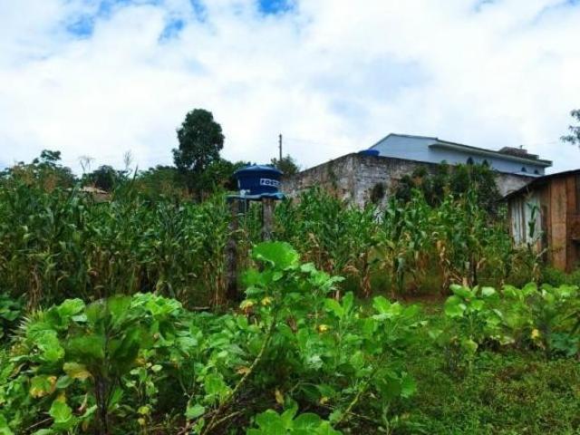 Chacara, São Domingos, Sengés, PR