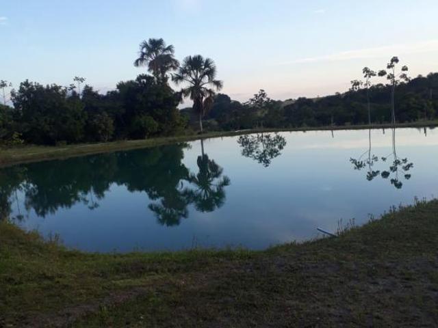 Lindo sítio na Marajó Goiás